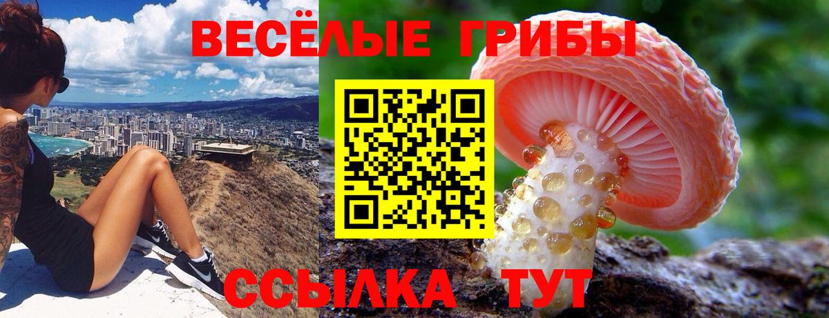Кизилюрт  Псилоцибиновые грибы Magic Shrooms  Вход с VPN 